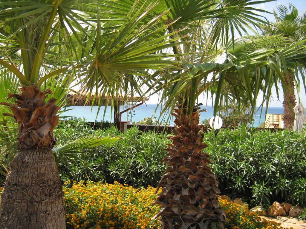 Villa Baia Di Cornino Custonaci Rom bilde