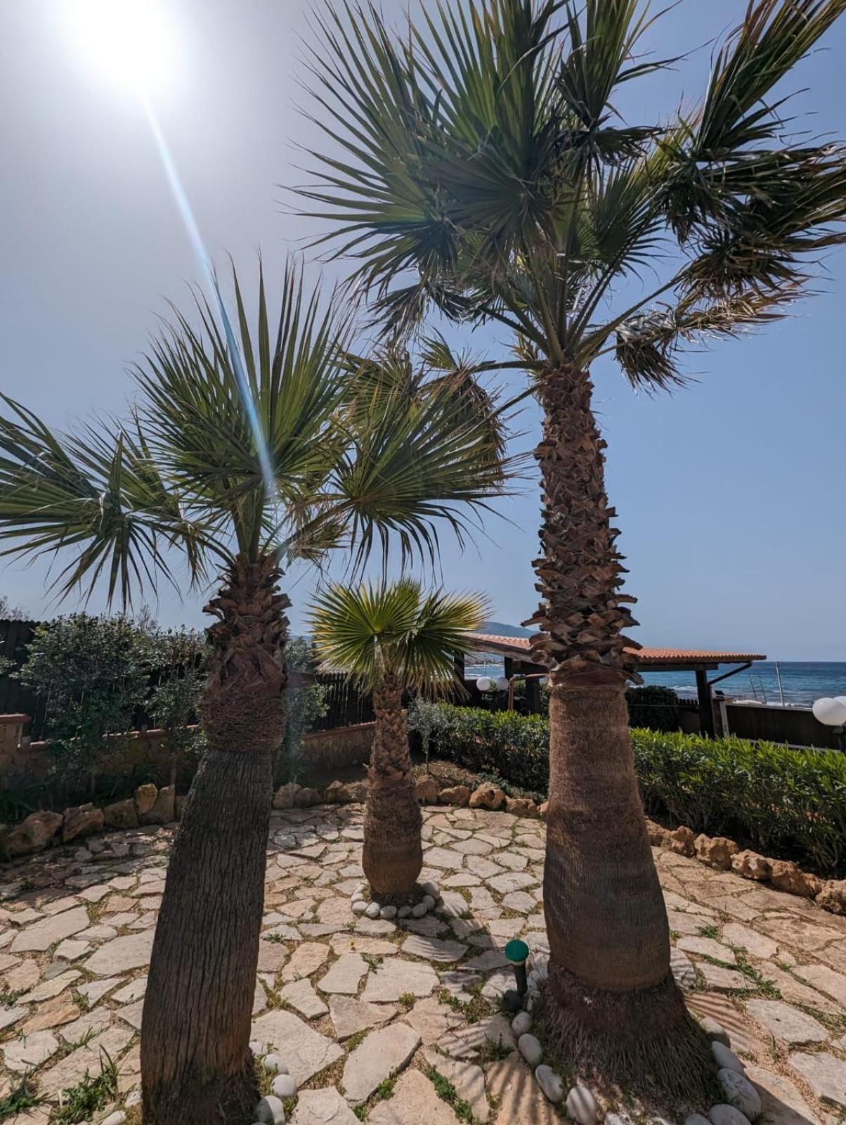 Villa Baia Di Cornino Custonaci Eksteriør bilde